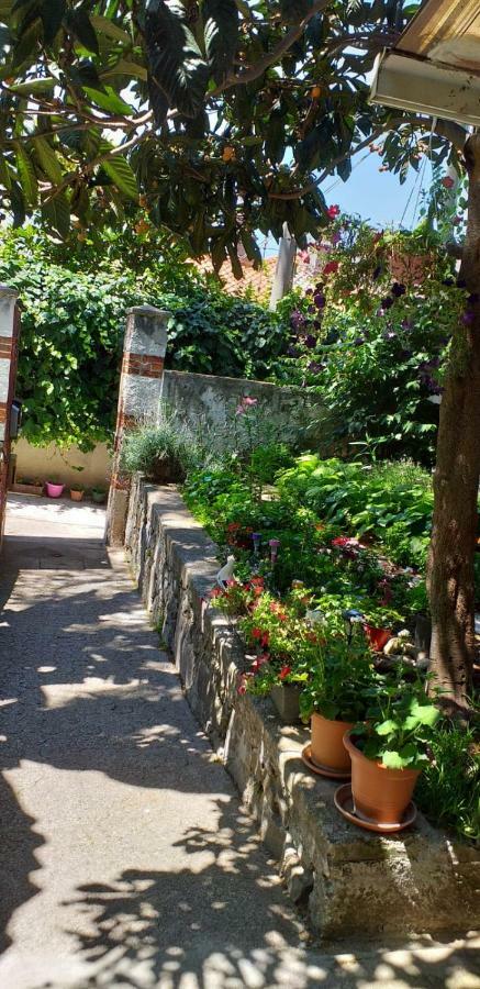 Casa Vacanze Poison Τεργέστη Εξωτερικό φωτογραφία